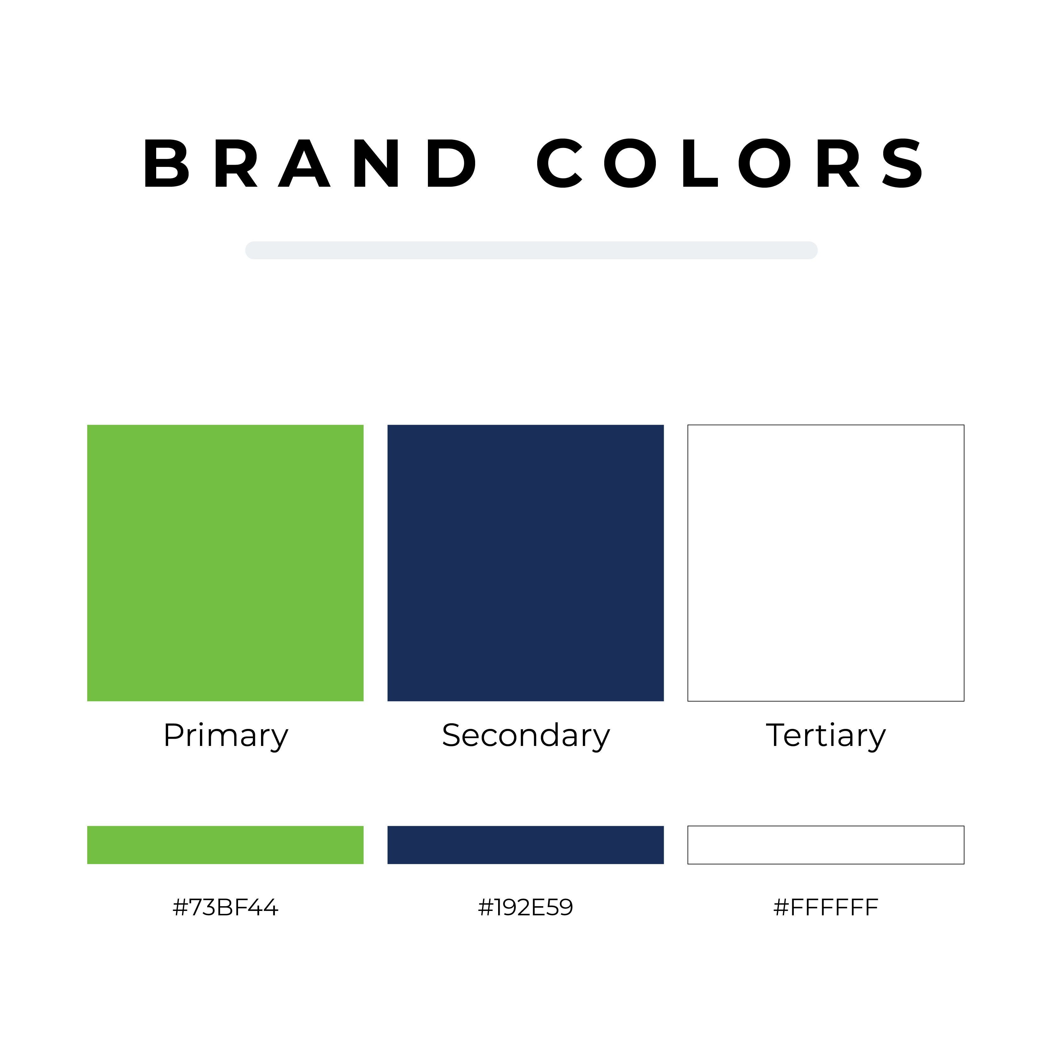 Piney Power Electric Color Palette Image